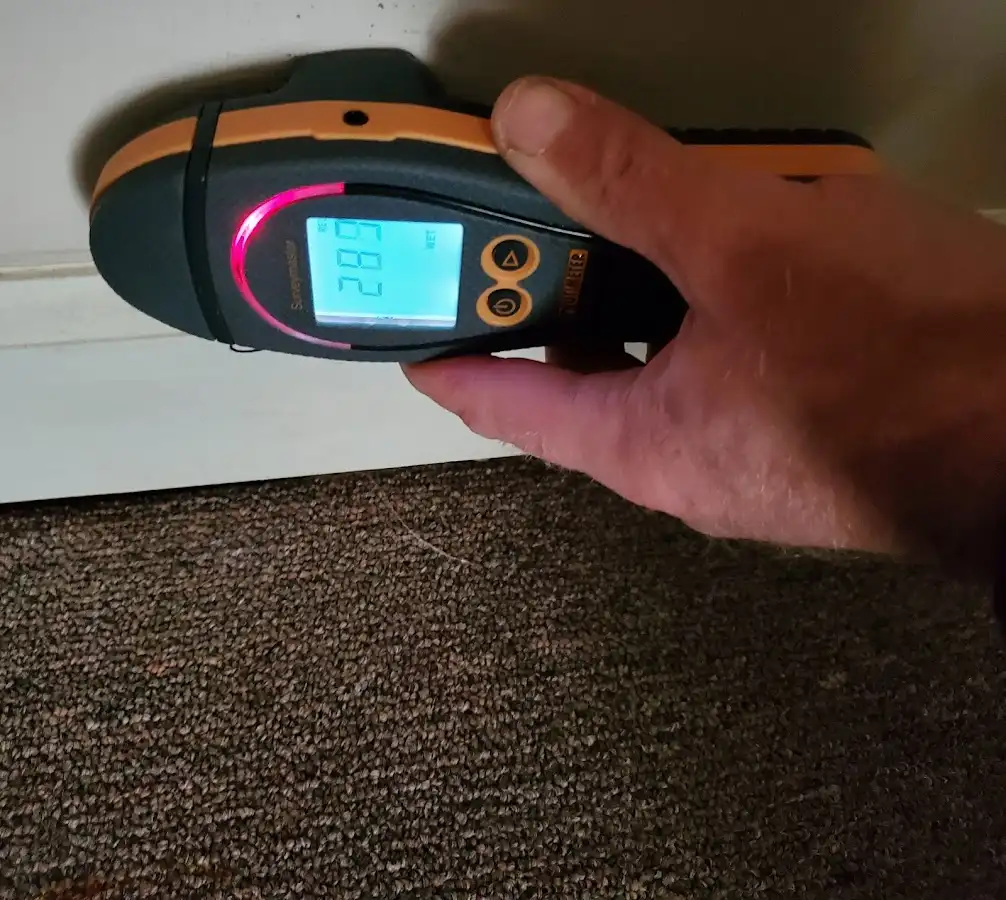 Moisture detection at baseboard during Sewage Cleanup & Sanitation in Schaghticoke